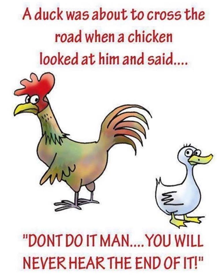 Coaldale_Inn's tweet photo. It’s #chickenwingtuesday at the #coaldaleinn ! $5.50 chicken wings and boneless ribs, all day long ! #lotsofflavors #dontmissout Don’t forget our drop in #dartleague in #kcspub 🎯 #showupearly #hopskipandajumpfromlethbridge #townofcoaldale https://t.co/ZwIqRPfI3g