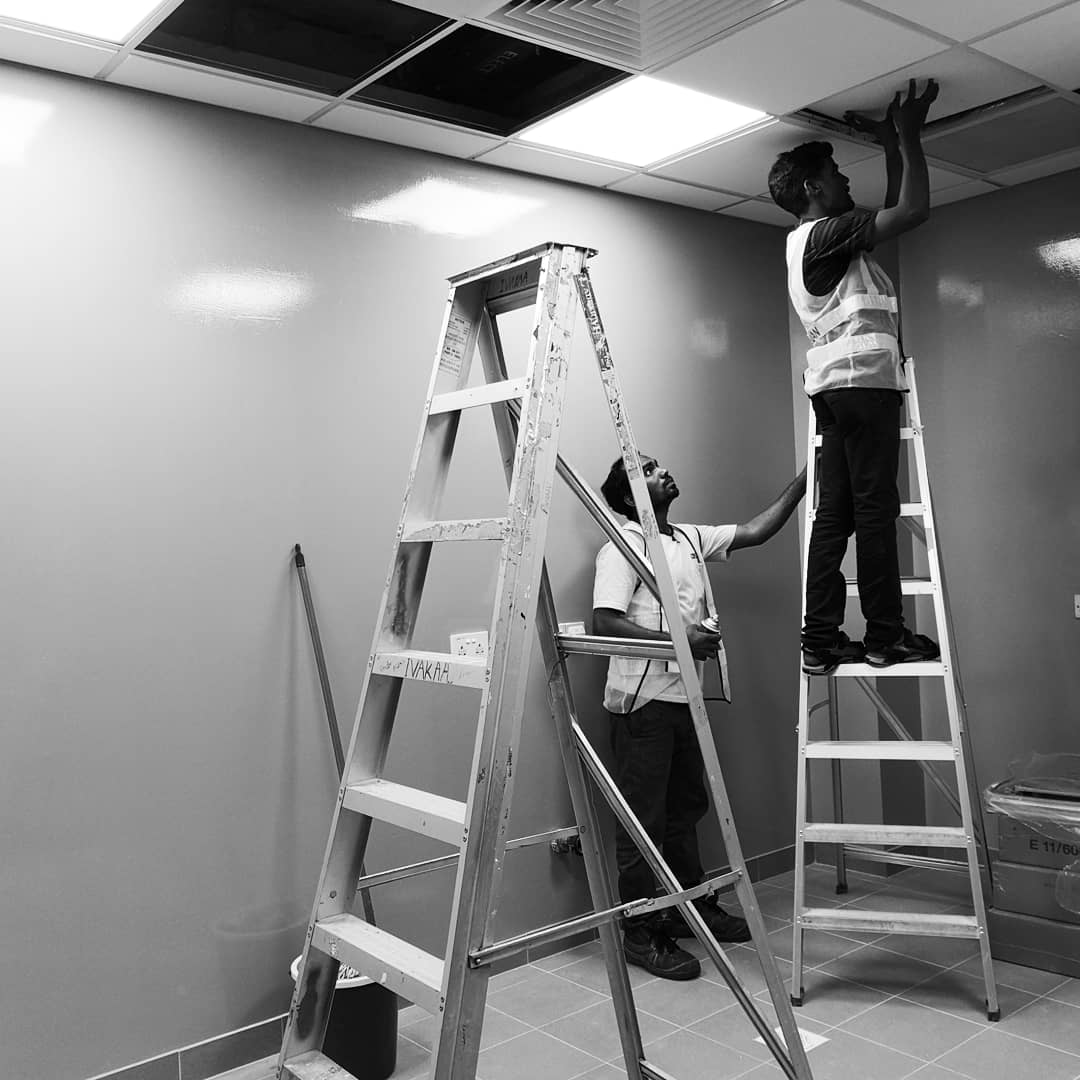 MicrobesSg's tweet image. &apos;ve been very busy with renovation works!