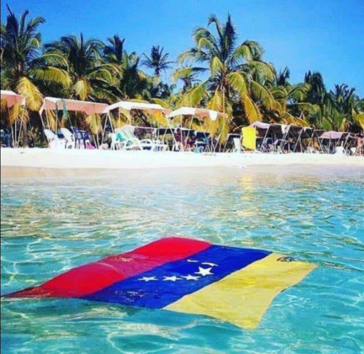 Venezuela que Bella eres,Que hijos tan nobles tienes, cada uno tiende su mano para ayudar al otro 🇻🇪💕☀️ Estoy segura que al salir de esta pesadilla seremos una Gran Nacion prospera y Bendita por Dios, ya cada uno de nosotros aprendio lá leccion de amarte, cuidarte y defenderte🇻🇪