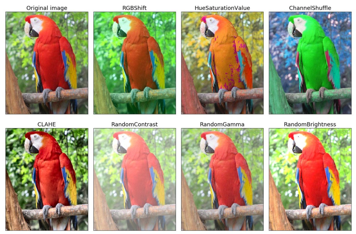 kaggle's tweet image. Bookmark this amazing library of image augmentations 😵 by #Kaggle Masters @AlBuslaev @creaf @viglovikov and @cvtalks | github.com/albu/albumenta… #resources #machinelearning