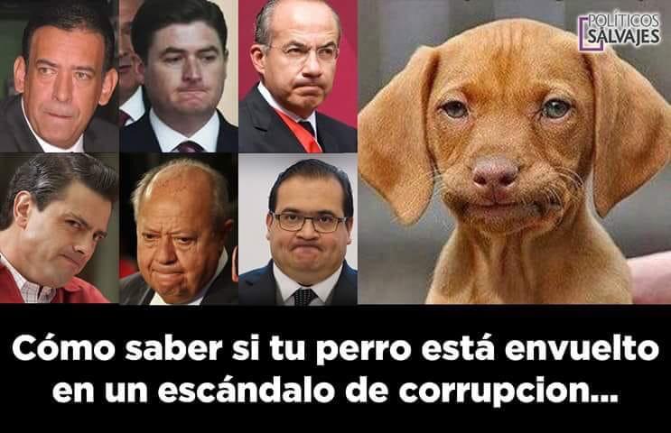 SirSebastian4's tweet photo. En tiempos de decisiones... Perfiles! 👀👀👀👀👀👀 https://t.co/Cw55Guo6Lo