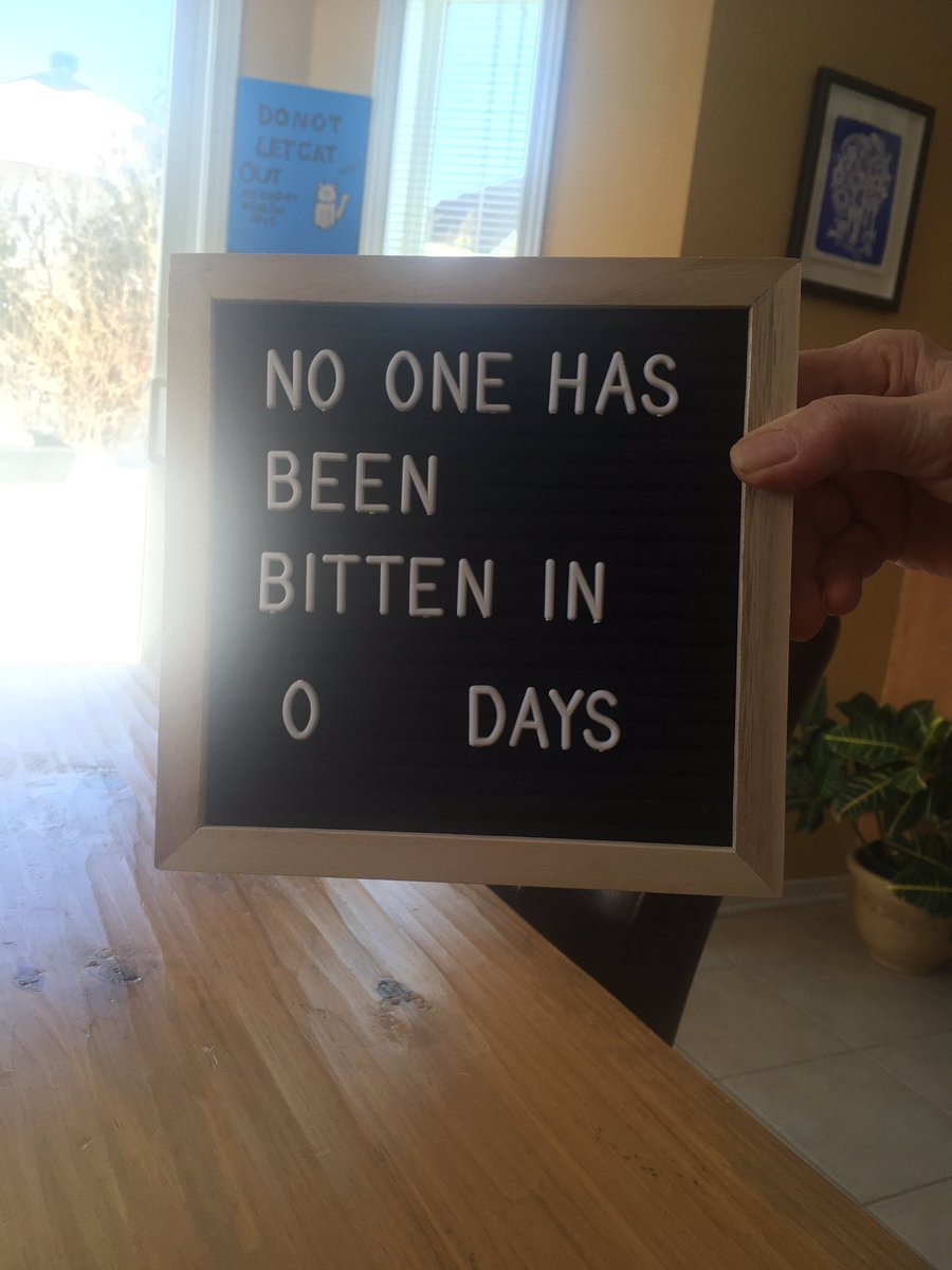 Spike33333's tweet photo. My Aunty @RudigerTheCat made me a sign. We had to change the number this morning. @dunvegan_mama https://t.co/xEk7vBXmX4