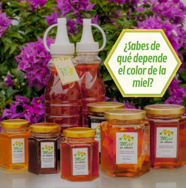 IruralRD's tweet photo. Los distintos tipos de néctar, de diferentes flores, dan a la #miel su color, sabor y aroma distintivo. La miel de #InnovacionRural es 100% natural es de origen #multifloral, por tanto, su color puede variar de ámbar claro a oscuro, según las flores de temporada. https://t.co/Mrc94L7FTi