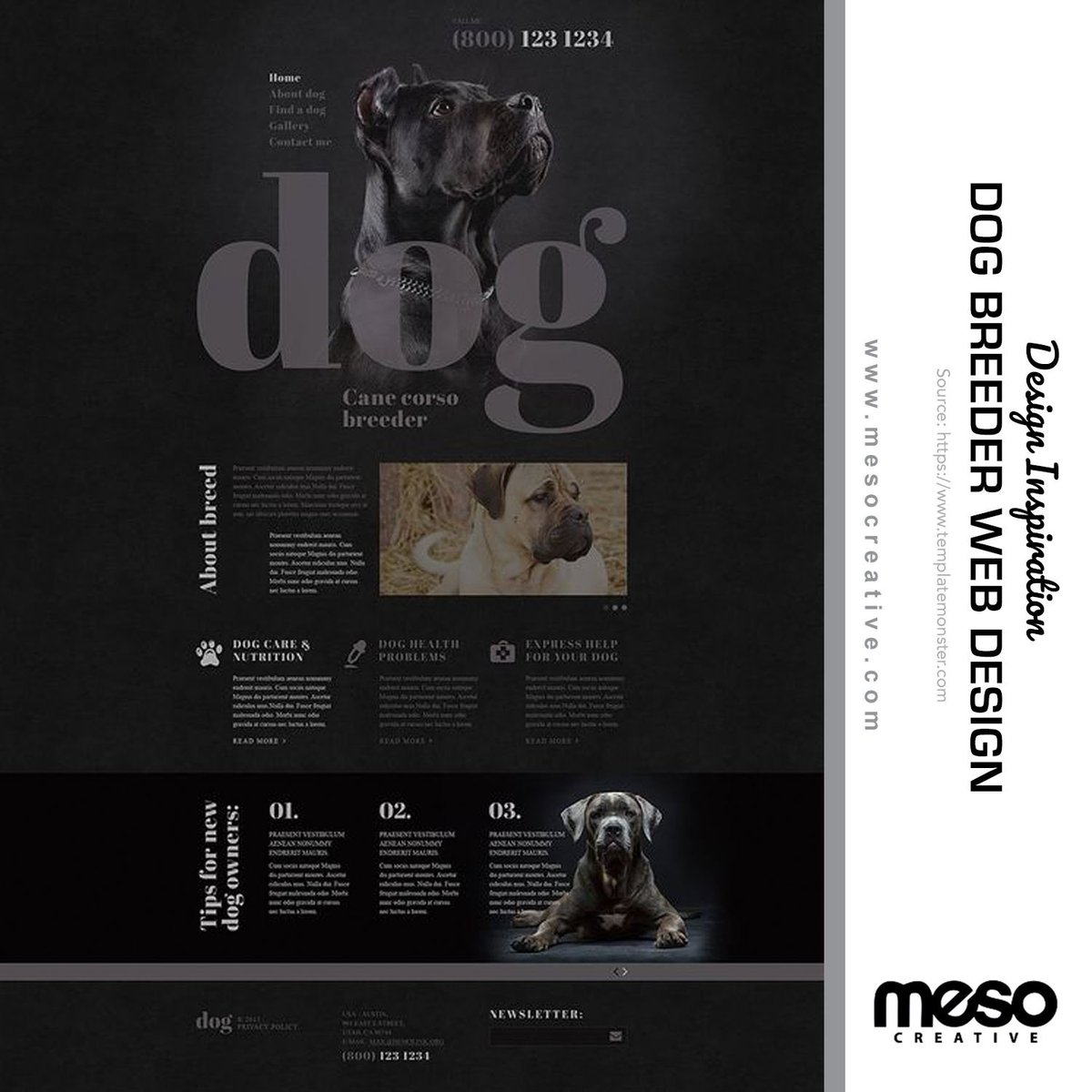 Web Design Inspiration for DOG BREEDER
#mesocreative #website #webdesign #web #design #socialmedia #webpage #dogbreederwebdesign #affordablewebdesign #australia #businessinaustralia #webdesigner #iloveaustralia #ilovesydney #iloveNSW #NewSouthWales