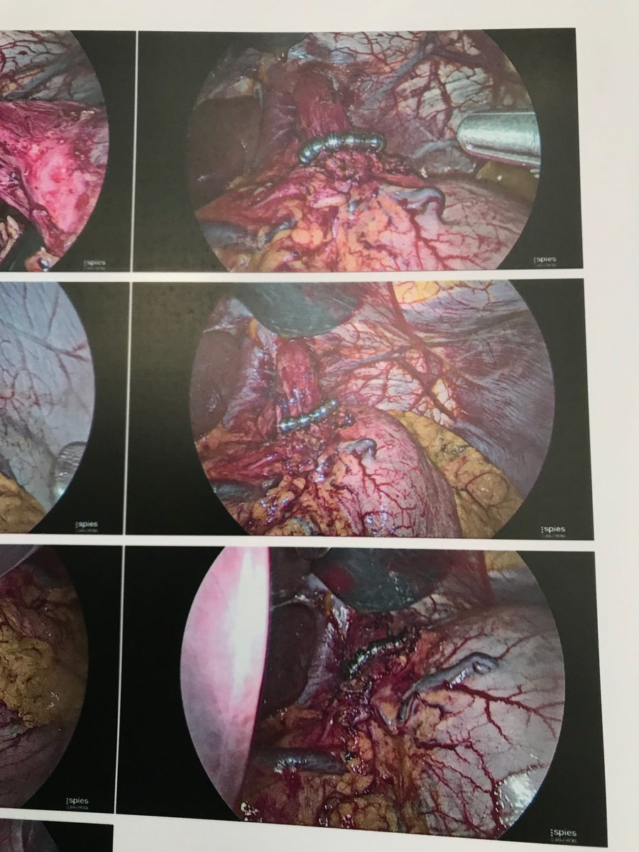 Chris Horner tweet media