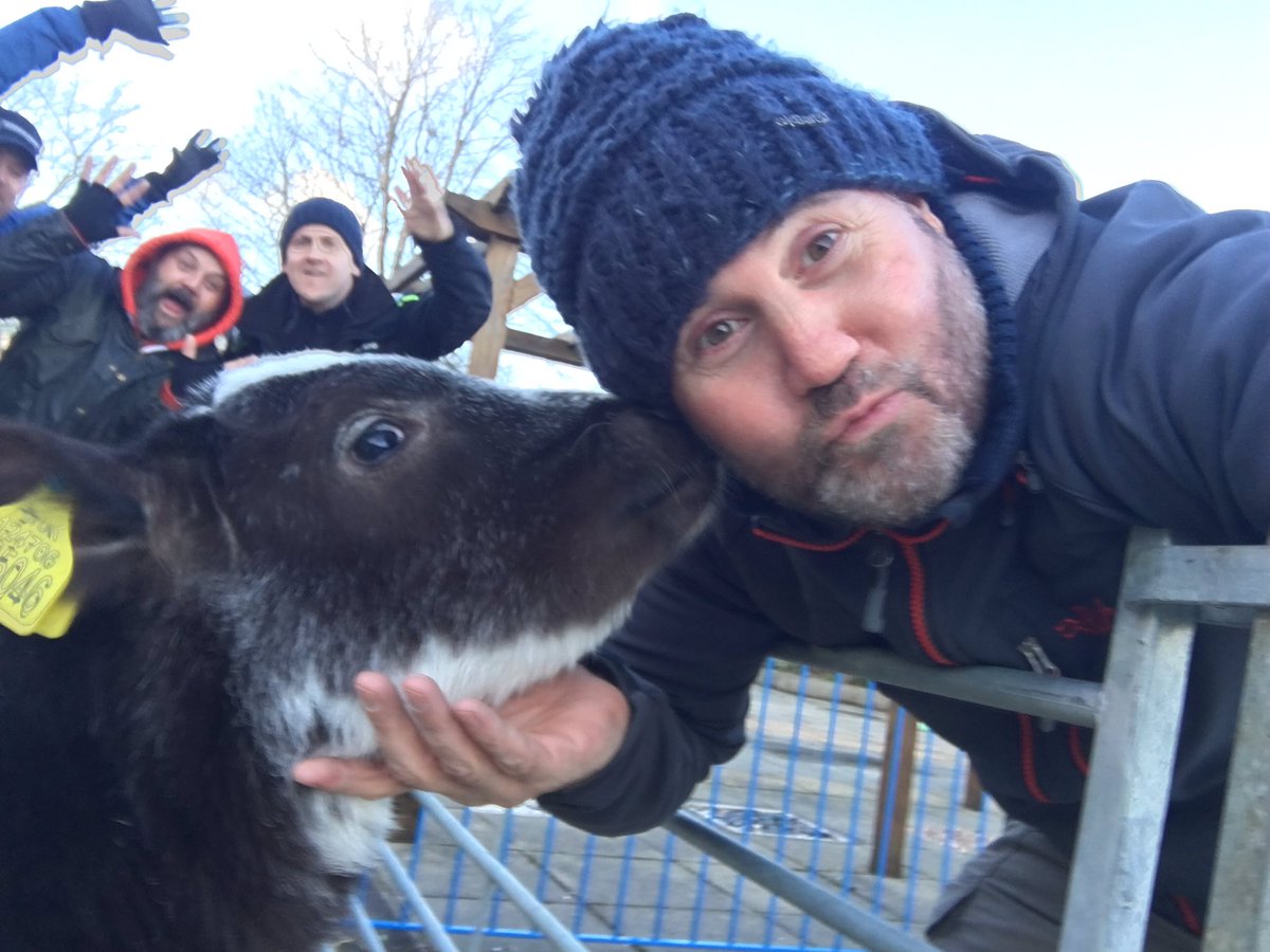 Look at all the livestock! Fun and calf-ter with <a href="/BBCYorkshire/">BBC</a>. #WeAreBradford