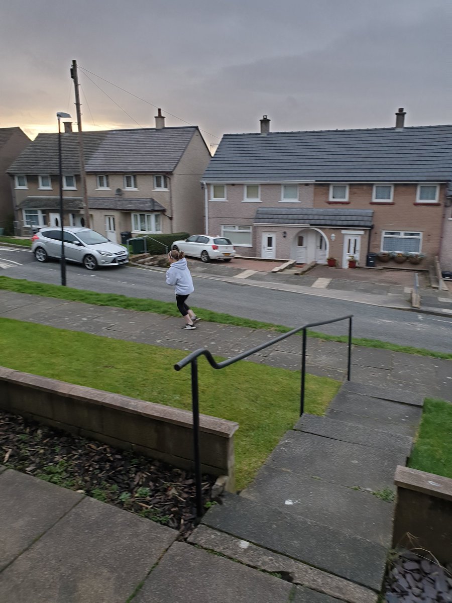 TanyaKirkland9's tweet photo. Ruby-Mae of for another run. Shes set up her app to track and is ready to go #proud #takingdirection #positivity https://t.co/SqM0OWYXHy