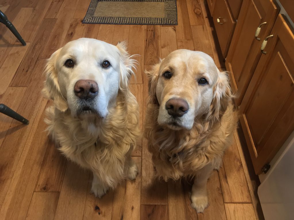 James Brandner tweet media