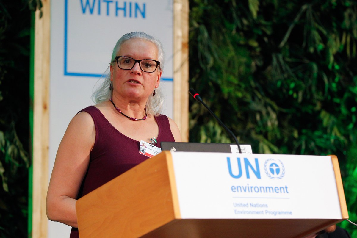 PEIGlobal's tweet photo. This afternoon on a side event of #UNEA4 panelists led by Ms. Niamh Brannigan, Head of Communications for Environmental Governance, UN Environment discussed the human rights-based approaches to innovation for sustainable development. #UNEnvironment #UNDP #OHCHR #SolveDifferent https://t.co/keYrHRweQz