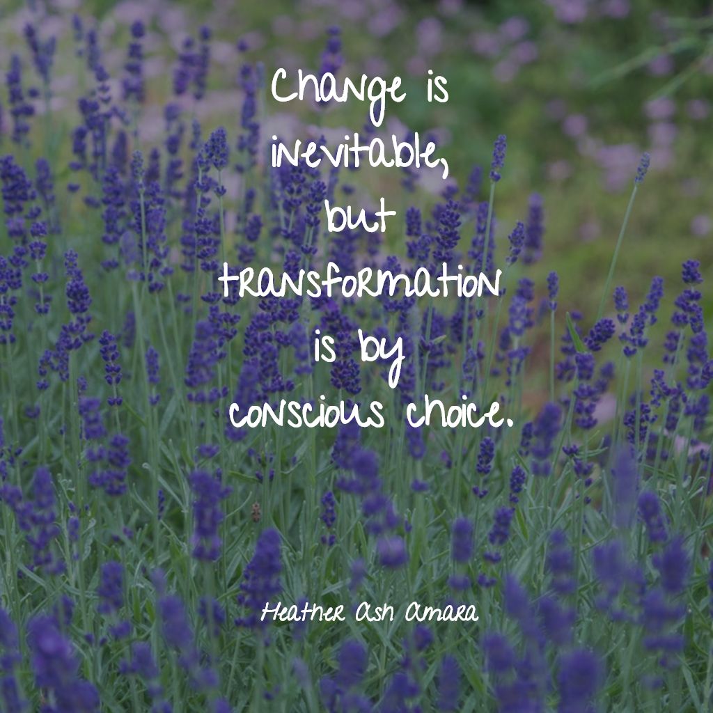 Toucan Education Programs tweet media