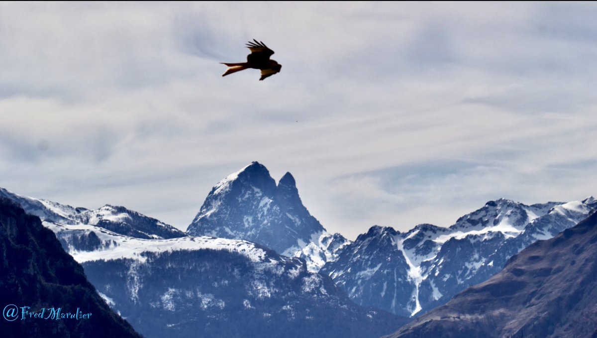 À midi vol à pic sur l’Ossau ..