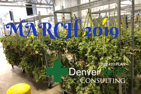 D.R. Consulting tweet media