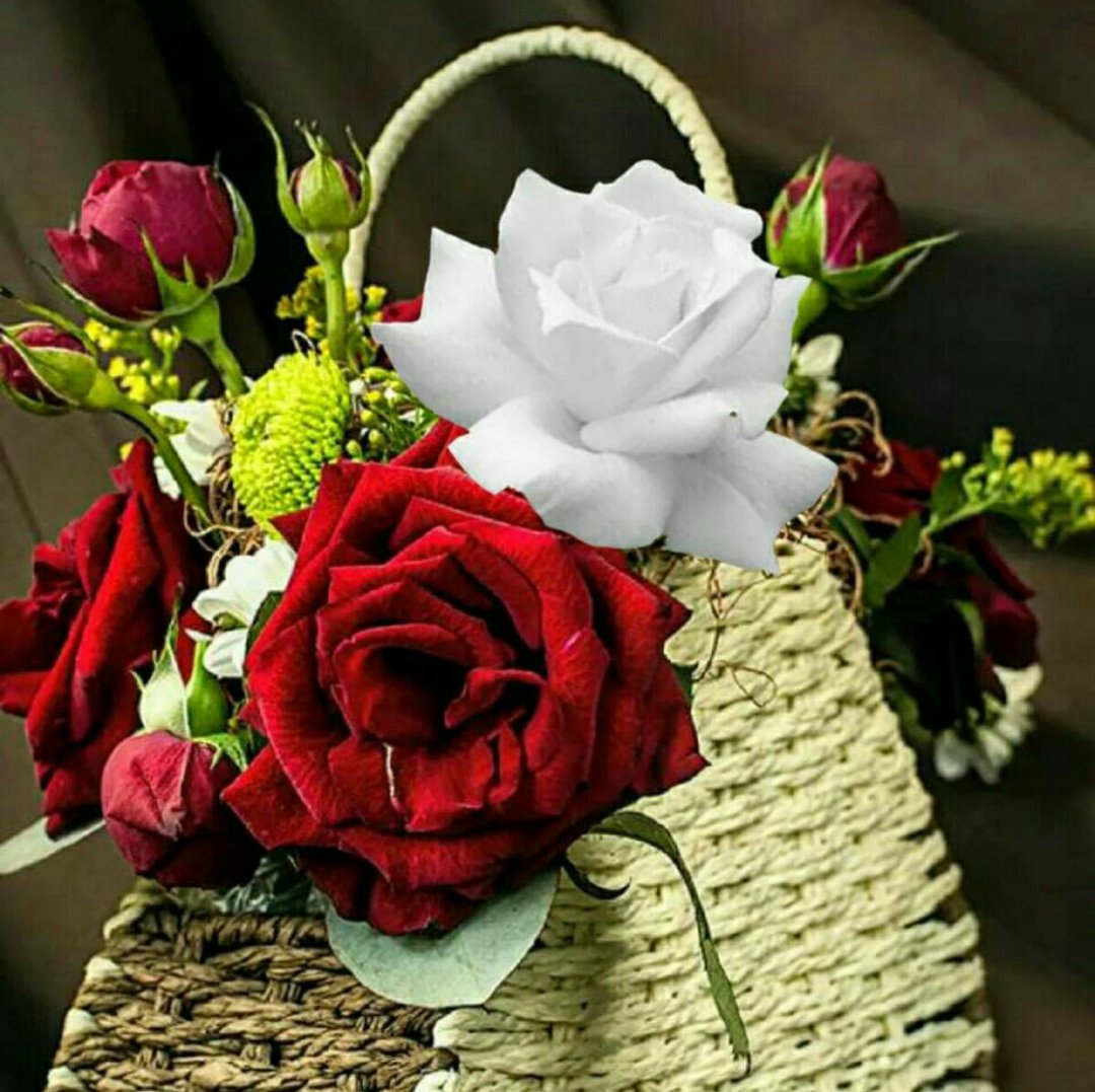 miarianmoreno's tweet image. 🌏🌼I follow back💯✔
🍀#LauSDV 🍀 #BrettCateley🍀
📢#1Drive🔥
🐎#TeamStallion🐎❤

@GIRLS__CREW🌼
@Diane91182 @MarEthr
@KI_I_N_G_S @CarlonetCarlo
@Tana_Pato @aLAURA2019
@PranticGain @JanHarrison68
@tinatwitte482 @saladesvertes
@AbubakarIla5151
@DaskymixVirus1
@miarianmoreno🌼❤