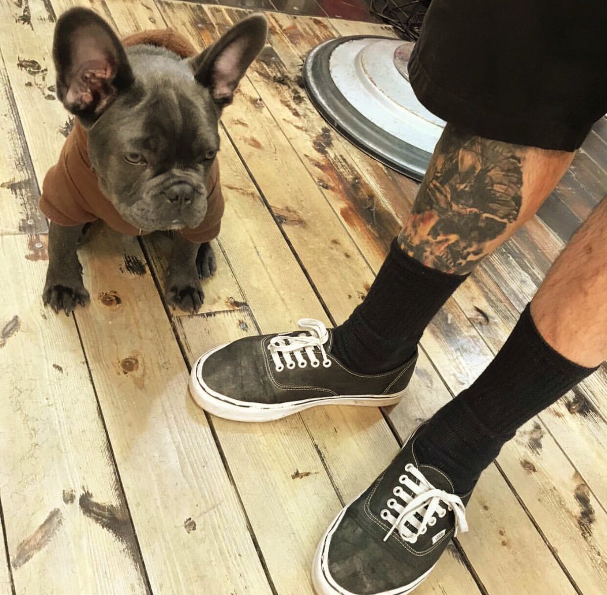 Storeys_london's tweet image. Local businesses are so important to building community - @rocketbarbers has locations including #Hackney and #Stokey (and an adorable mascot in Pierre the dog too) #localtips #dogsoftwitter