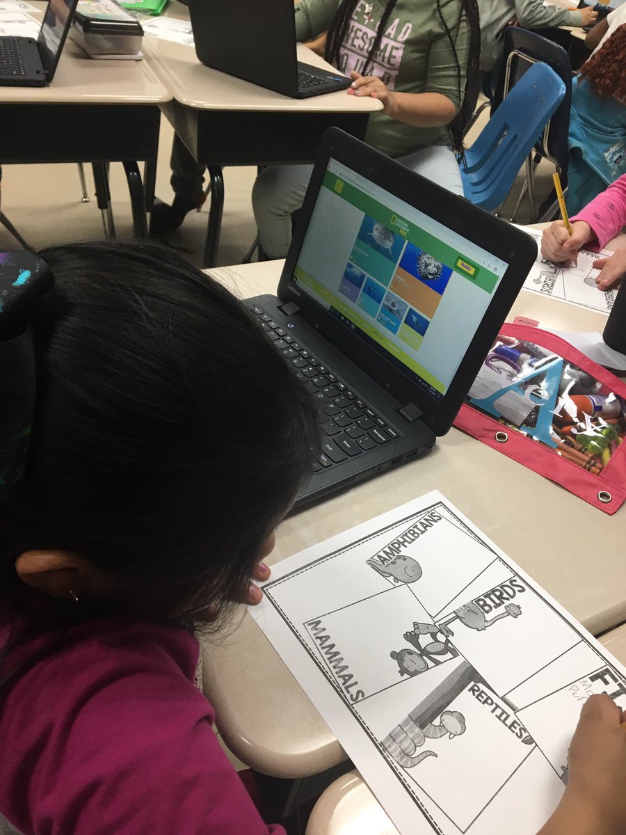 mrsBlove24's tweet image. Brainstorming for their animal reports on the Chromebooks!! They had a blast and actually taught me something! #digitallearningjourney #weareaycock #2ndgradecampers