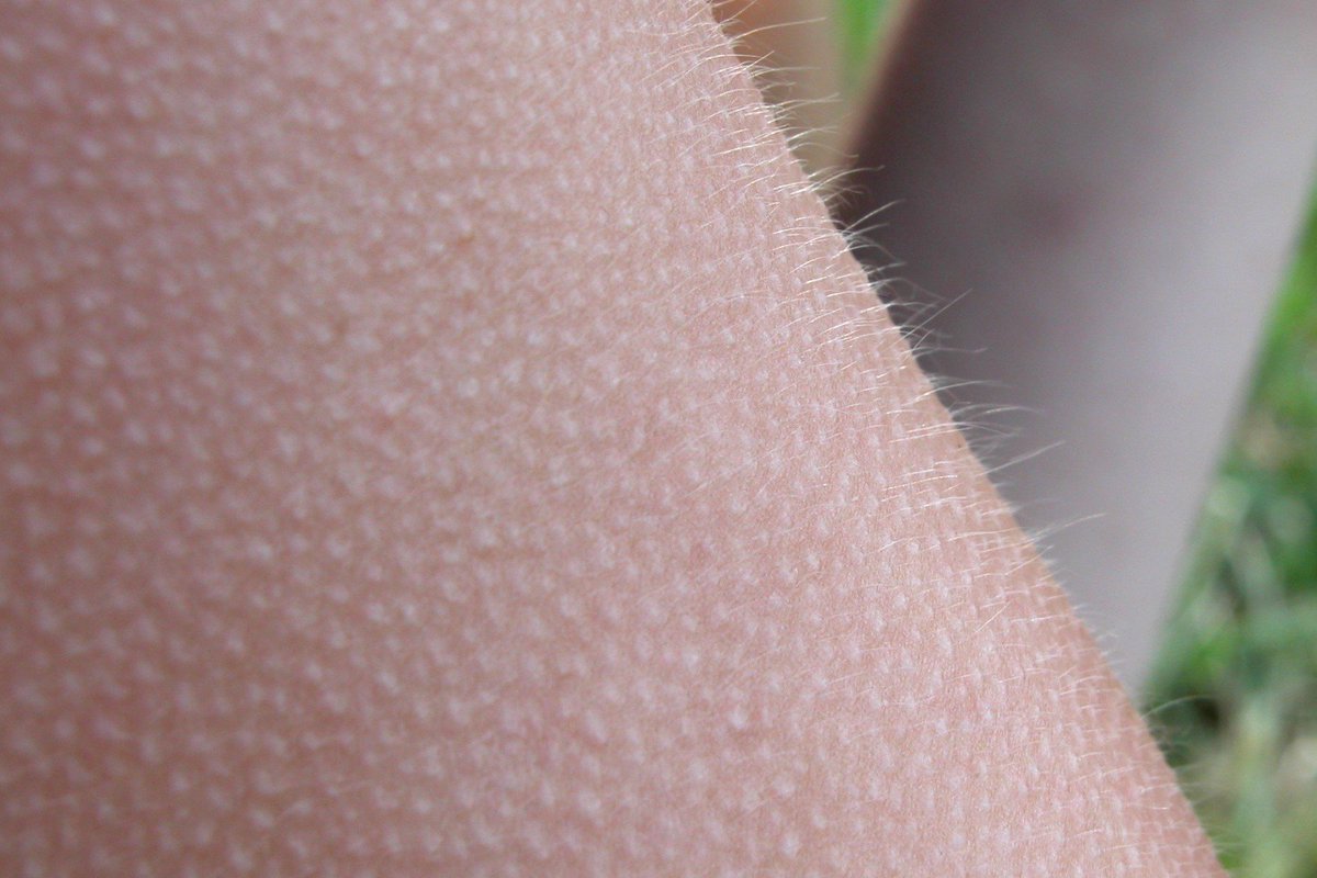 Writing with the Senses: Short Story Writing Workshop with Karen Ince. 1 June 2019 from 10am at The Grand, Folkestone.

All welcome, but ticket booking required.

eventbrite.co.uk/e/writing-with…