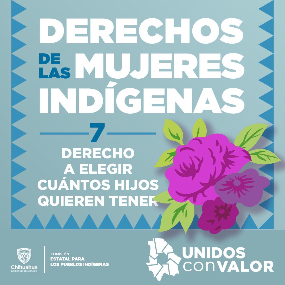 Secretaría de Pueblos y Comunidades Indígenas tweet media