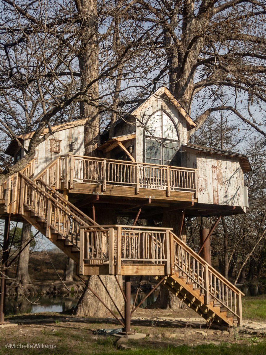 Michelle Williams tweet media