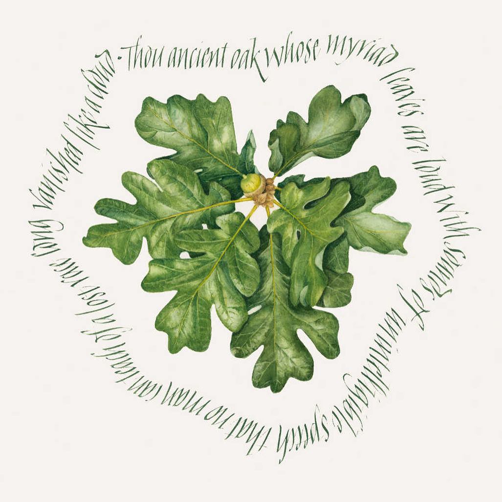 Rendez-vous 2019 tweet media