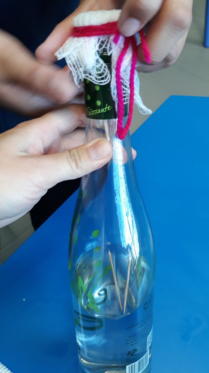 vanesapozo's tweet photo. Experimento!!🤓 Ni una gota de agua cae de la botella perforada..¿qué ha pasado? la tensión superficial y las fuerzas atractivas entre el agua y la gasa permiten que el agua no caiga👏 https://t.co/cH25ffHek6