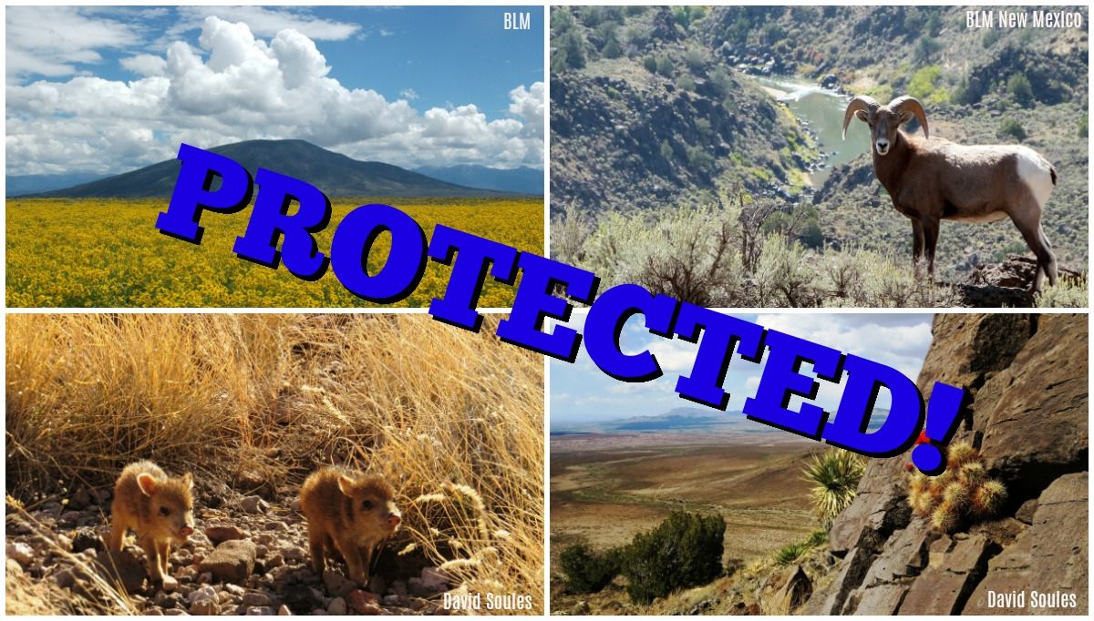 OrganMountains's tweet photo. BREAKING! @POTUS just signed into law the John D. Dingell, Jr. Conservation, Management & Recreation Act which will protect for future generations #WildernessNOW in #OMDP4NM & #SaveRGDN #MonumentsForAll https://t.co/7IWCfPOlyK #NMTrue #nmpol #NewMexico https://t.co/5AYGaITu5C