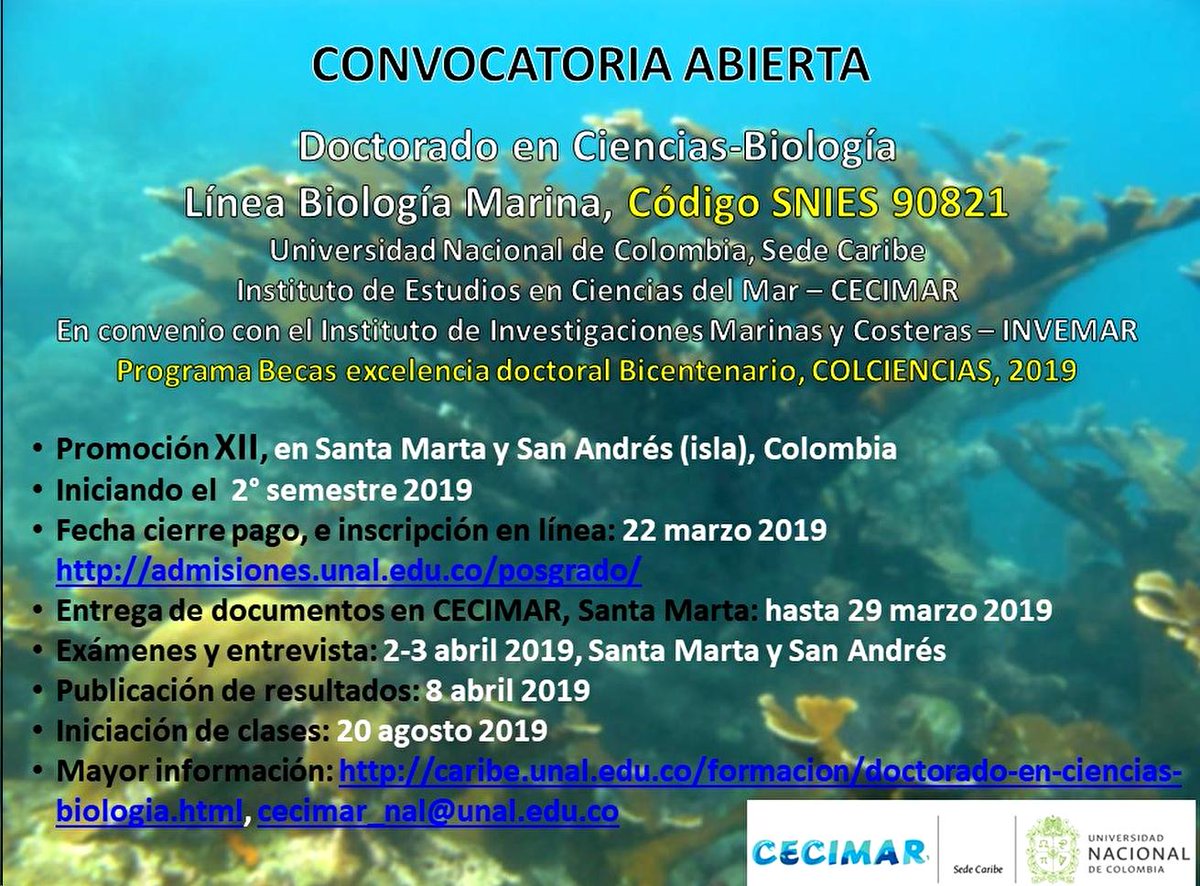 Programa de Posgrado en Ciencias-Biología, Línea Biología Marina, Universidad Nacional de Colombia, Sede Caribe, Instituto de Estudios en Ciencias del Mar-CECIMAR, abren convocatoria para estudios de DOCTORADO en Santa Marta y San Andrés (I.), Colombia, Convenio INVEMAR, 2. 2019.