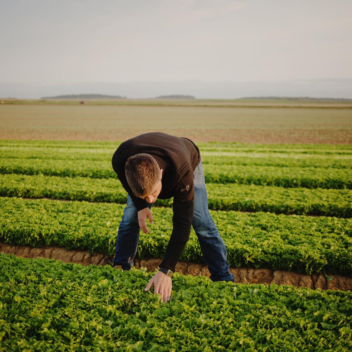 How does #Bonduelle harvest its vegetables? Take a tour in our supply model ! 👉bit.ly/2NOfXI3 #LaNatureNotreFutur #Positiveimpact <a href="/ONProcessingVeg/">Ontario Processing Vegetable Growers</a> <a href="/BonduelleUS/">Bonduelle US</a> @readypacfoods