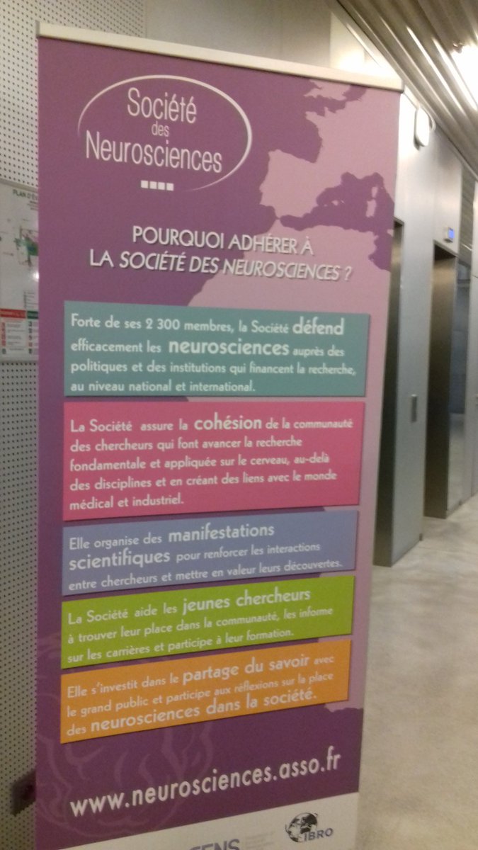 LyceeGFebus's tweet photo. Super journée au @Neuro_Bordeaux  Merci à la @SocNeuro_Tweets et à l'année prochaine ! https://t.co/2YDZKezTMo