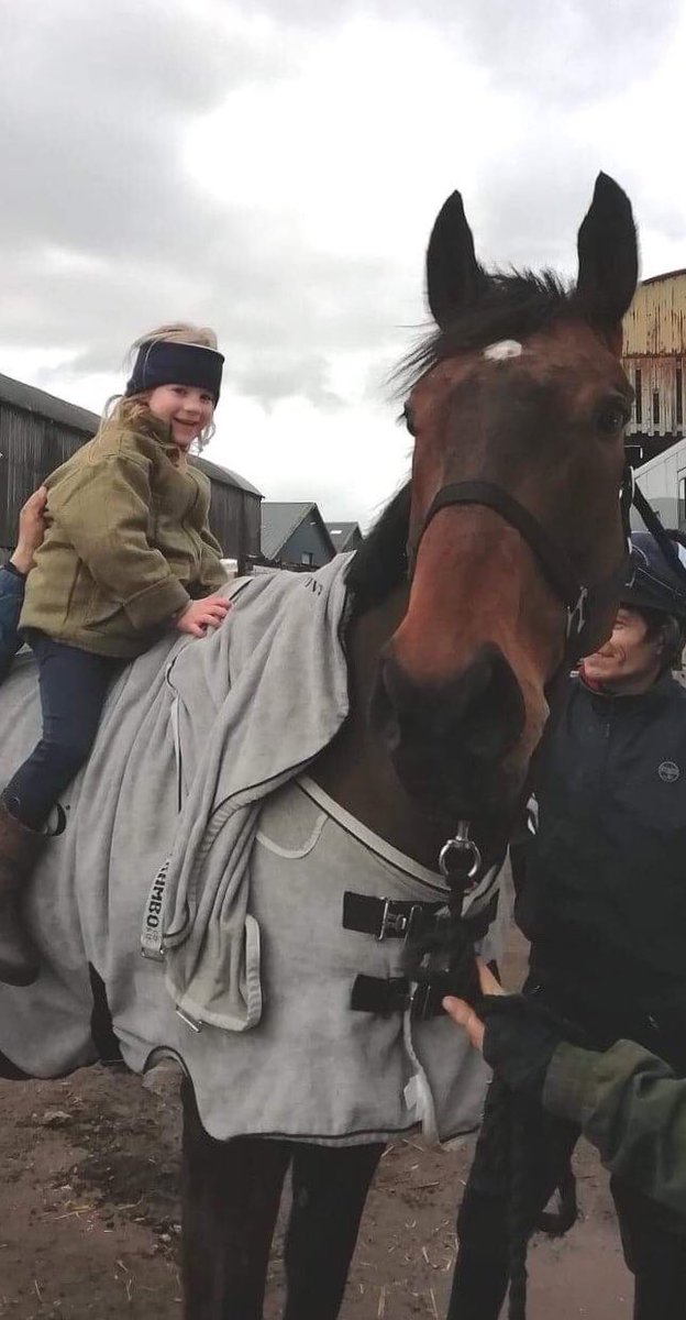 briscoe89's tweet photo. Romans biggest fan has said he has never felt and looked so good. Road to Rome is now declared for the #CheltenhamFestival2019 and @swaleycohen will take the ride. Thanks to @JShearacing for getting us here and @PeelBloodstock for finding Roman for us. #Makingthedreamareality https://t.co/rCqkI4hYnH