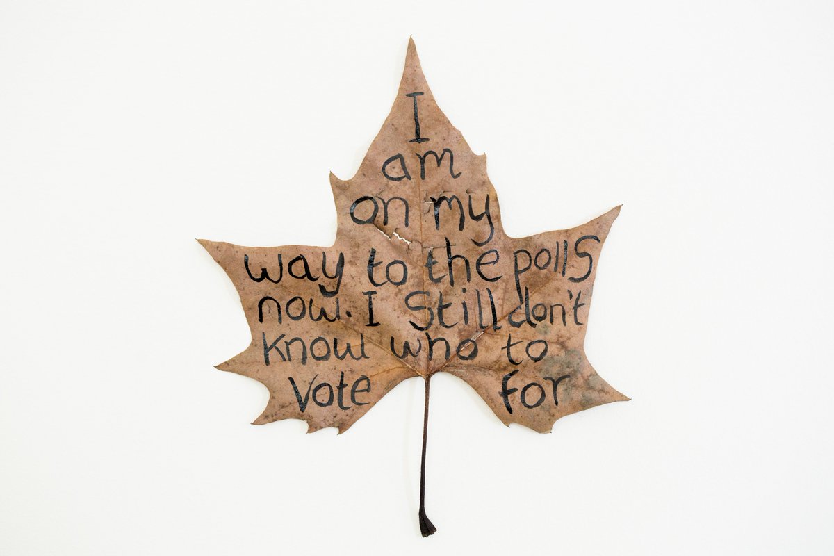 leafmeansleaf's tweet image. "I am on the way to the polls now. I still don't know who to vote for." 

A quote from a voter on 23rd June 2016. I wonder how many MPs feel the same today?