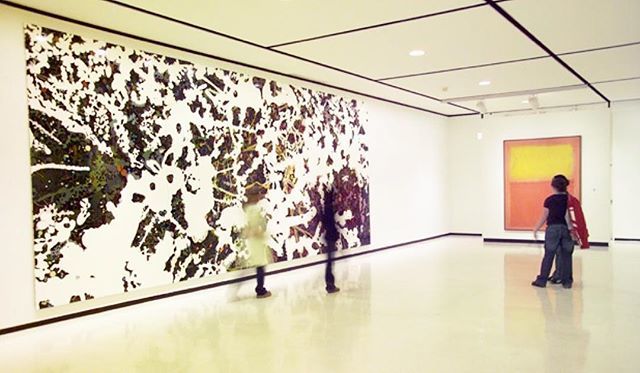 clarewoodstudio's tweet photo. #15yearsago my first large scale work #failedback and my first work to be purchased by a museum. @albrightknox #thankyou https://t.co/lRO0jevbtc https://t.co/JqGTBcI896