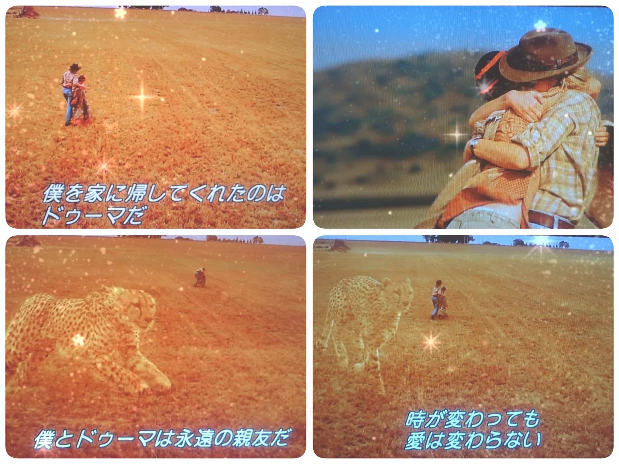 Midoka בטוויטר 良き 何度見ても良き 私得な映画ホッコリ チーター最高 人間の愛と絆 人間と動物の繋がり そして眠い W ドゥーマ 映画 チーター 感動 愛 かわいい かっこいい 動物 改心 癒される 俺得 T Co Eeuzj0asgz Midoka בטוויטר 良き 何度見ても良き 私得な映画ホッコリ チーター最高 人間の愛と絆 人間と動物の繋がり そして眠い W ドゥーマ 映画 チーター 感動 愛 かわいい かっこいい 動物 改心 癒される 俺得 T Co Eeuzj0asgz