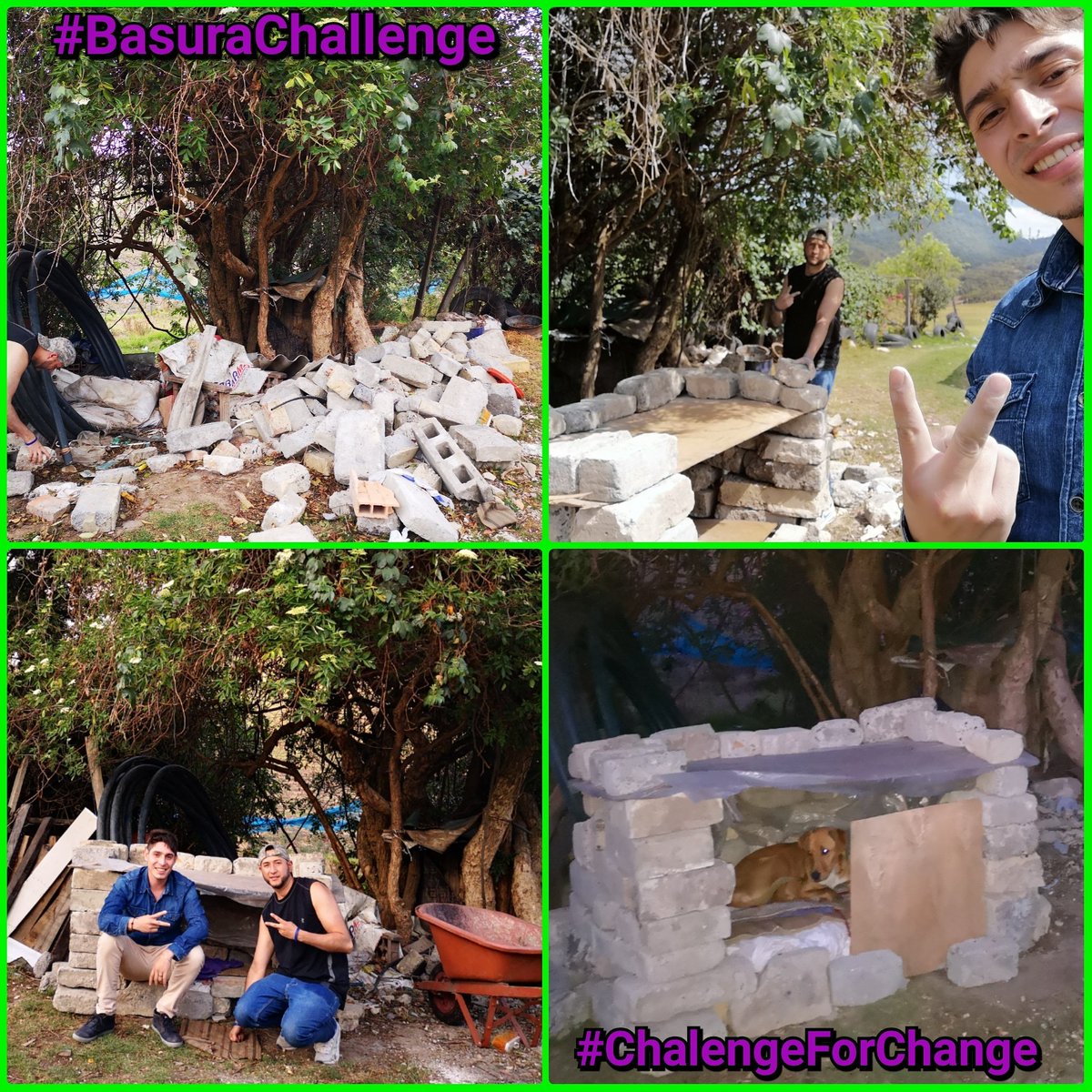 Ingecarlosmora's tweet photo. Por los que no tienen voz. 😸 ♥️
#BasuraChallenge #ChallengeForChange ♻️ https://t.co/njvnAQXpmY