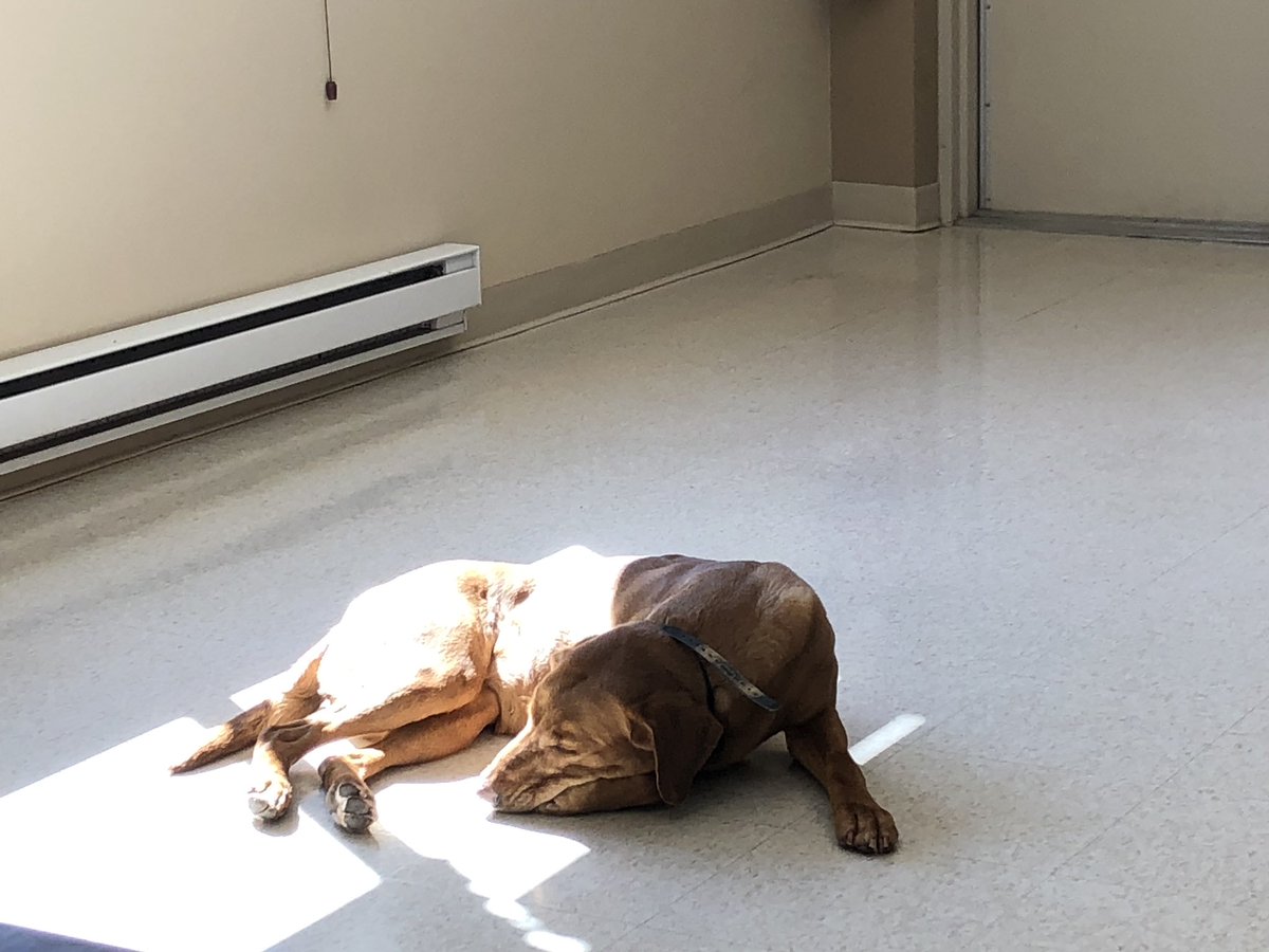 Mbccmaxime's tweet image. Everyone want summer ! #aboutime