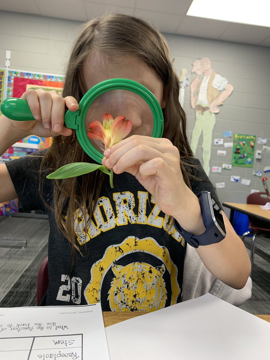 JodiPonwith's tweet photo. Anatomy of a flower! #scientists https://t.co/26QdSWf8Gk