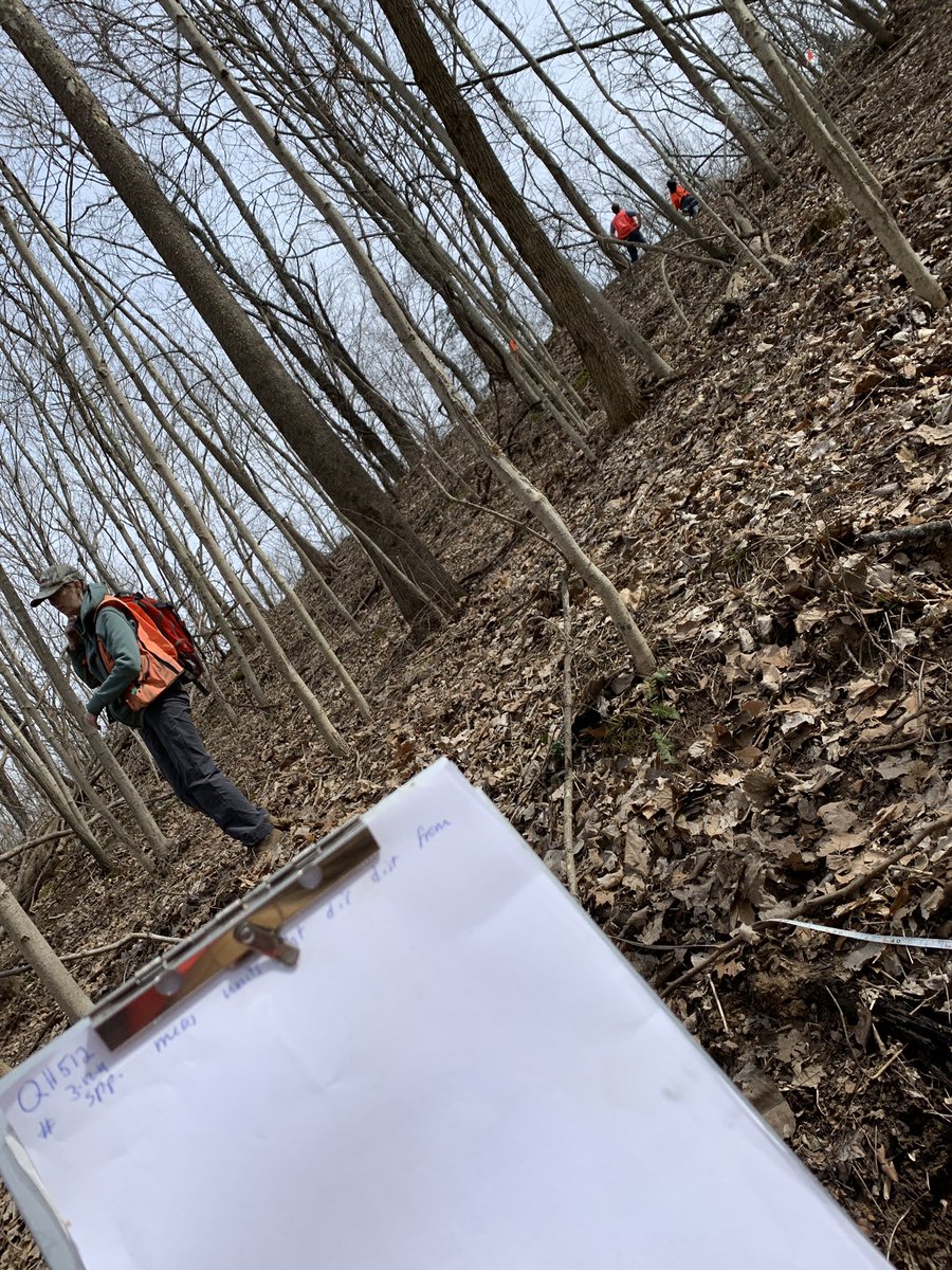 Enjoying the weather by Taking data on trees 🌳 in the @DPUNaturePark