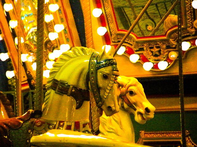 hammerclawmusic's tweet photo. Park outside #camping area. #Kissimmee, #Florida.
#street #streephotography #amusementpark #Disney #freelance #Orlando #Nikon #nikoncoolpix #nikonphotography #photoshopexpress #vacation #merrygoround #freelancephotographer #MagicKingdom #plastichorses #photoshopexpress https://t.co/MQ1HBJHav0