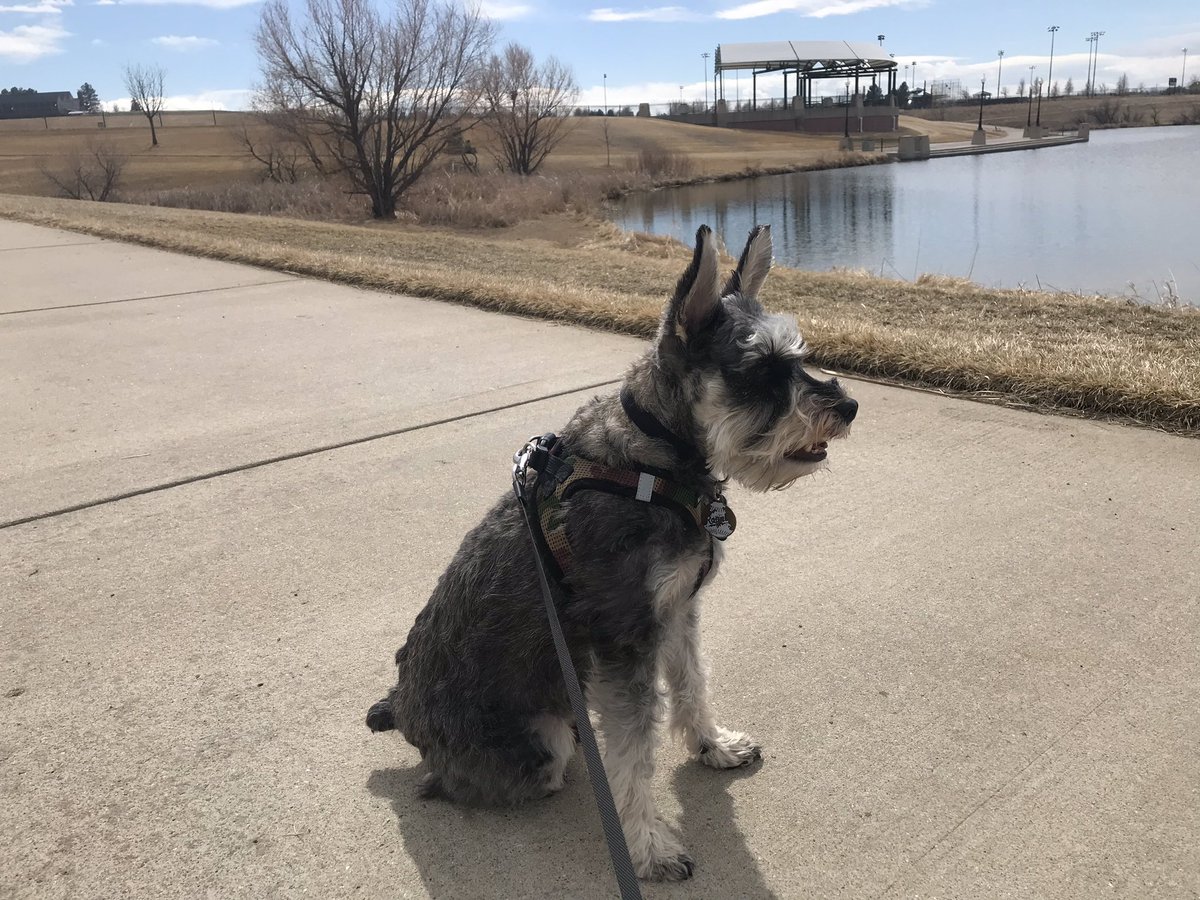 christinerappwx's tweet image. Enjoying the one sunny, semi-warm day while we have it.... snow and blizzard conditions move in tomorrow! #SpringinColorado