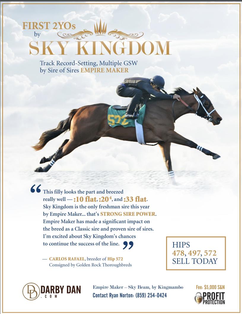 Tdn First 2yos By Darbydanfarm S Sky Kingdom Include Hips 478 497 And 572 Selling Today At Obs Tdn First 2yos By Darbydanfarm S Sky Kingdom Include Hips 478 497 And 572 Selling Today At Obs