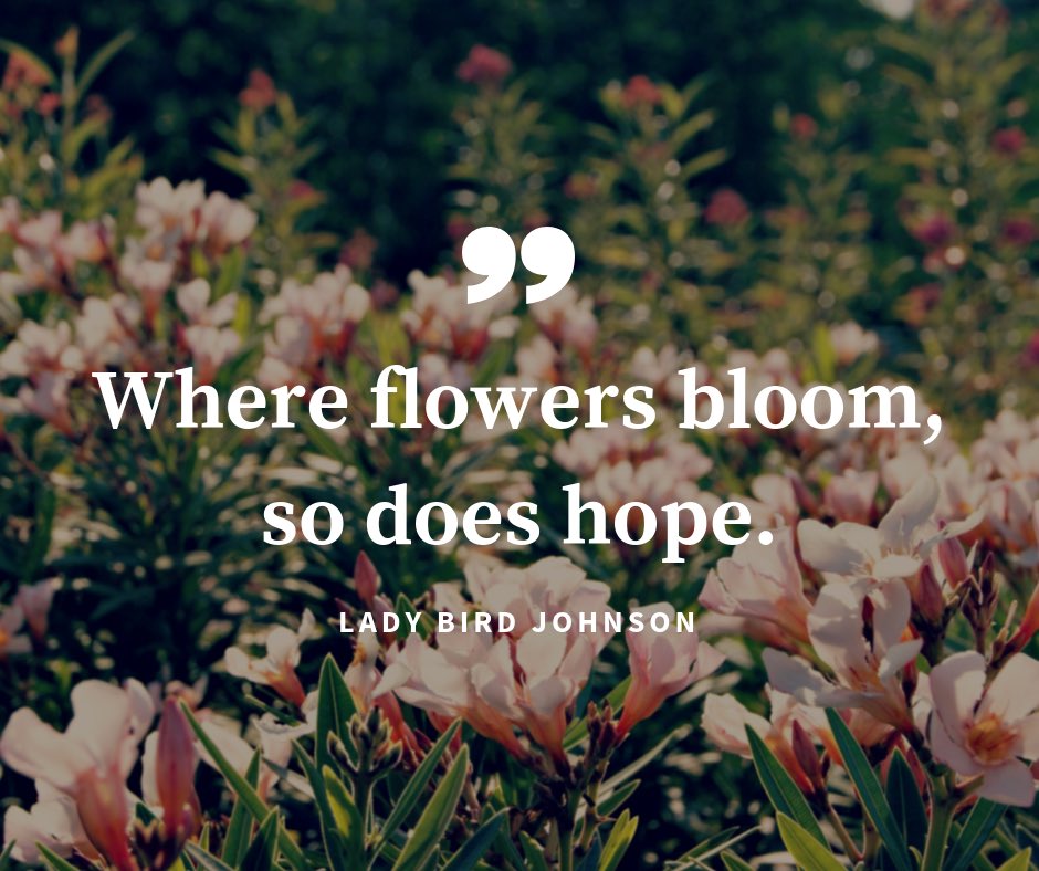 Bloomadventure's tweet photo. #Mentalhealth #MentalHealthMatters #mentalillness #awareness #bpd #depression #bipolar #youregoingtobeokay #loveyou #thebloominitative https://t.co/lCCb7TWDbs