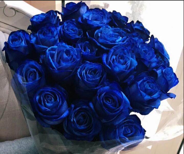 SaberOmar9's tweet photo. In Love with blue💙 https://t.co/1cdTdlLxWy