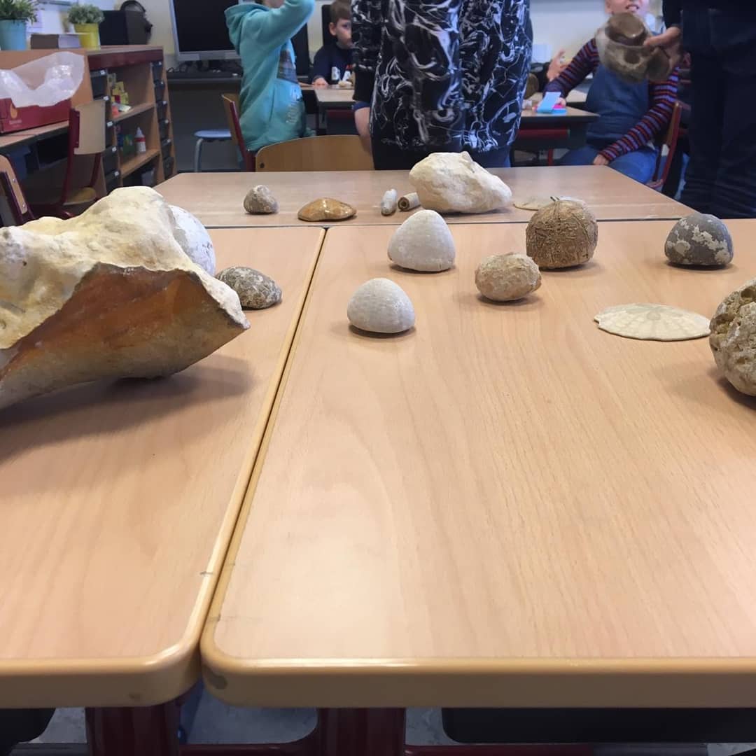 destarter's tweet photo. Vandaag zijn de leerlingen uit de groepen 7 helemaal meegenomen in het prachtige verhaal van 'ome' Ton, een gepensioneerd onderwijzer met een passie voor onder anderen fossielen #geschiedenisonderwijs #expertindeklas #betrokkenheid https://t.co/ewXGOR8Bjm
