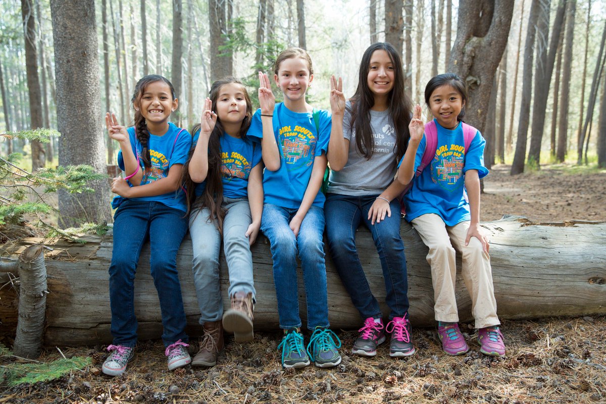 Group of girl scouts sitting on a log at Yosemite. 