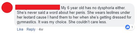 4. Not dysphoric at age 6, no problem with penis. Mom got the tucking underwear. This is not an uncommon thing that some parents report. Why are such children considered the opposite sex by their parents? Who has encouraged them to think this way?