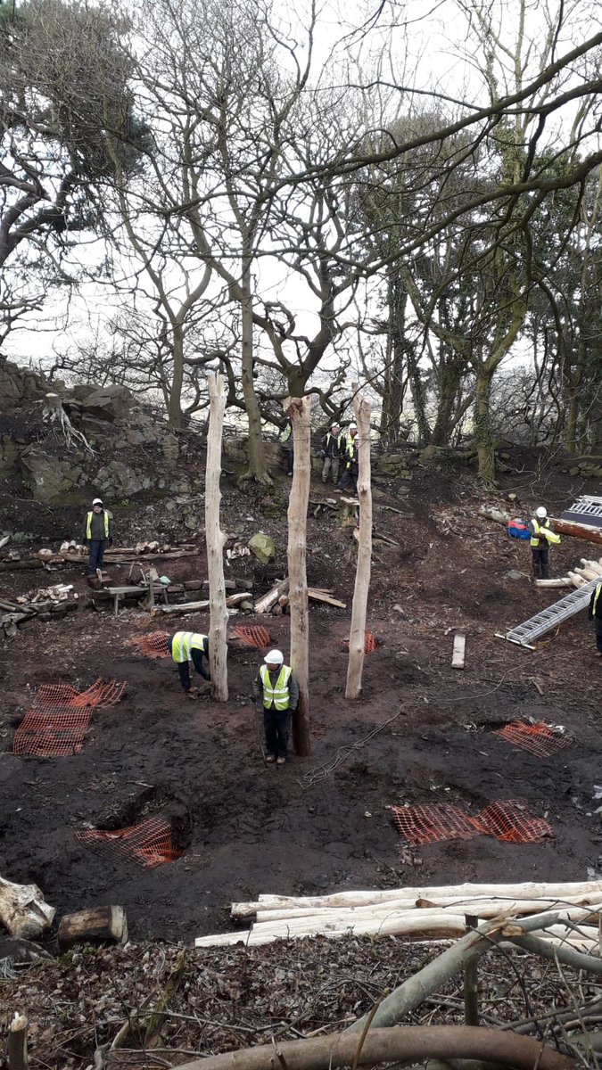 devabees's tweet image. Beeston Castle in Cheshire is building a recreation of a Bronze Age Roundhouse. The 3 central posts to support the roof have just been raised