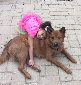As a pet owner, I can attest to the fact that I am most happy when I know my dog is happy. And when it comes time to enjoy being outdoors, I want to know that my dog is both safe and happy in our yard. unique-landscapes.com/dog-friendly-l…