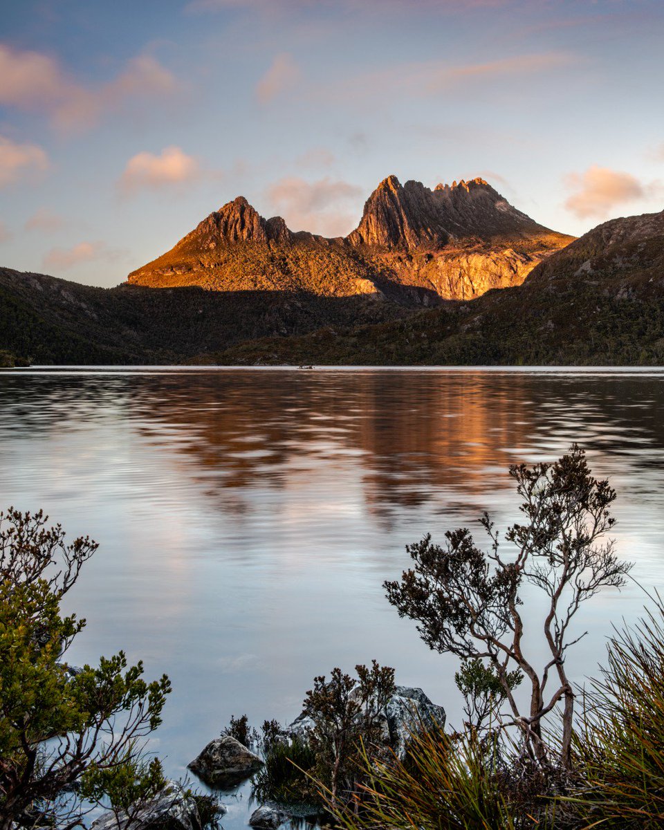 In just 8 weeks I'll be heading to Tasmania with WildNature Photo Expeditions by Michael Snedic to photograph beautiful Cradle Mountain during the autumn-colour changes. Come join us for the photography workshop, there are still a few spots left!

bit.ly/ComeToTassie