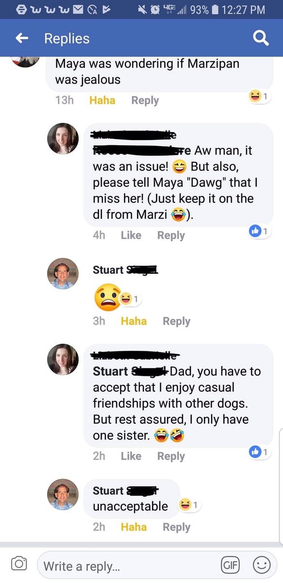 dadsrandomtext's tweet image. #puppy #randomdad #DogLife