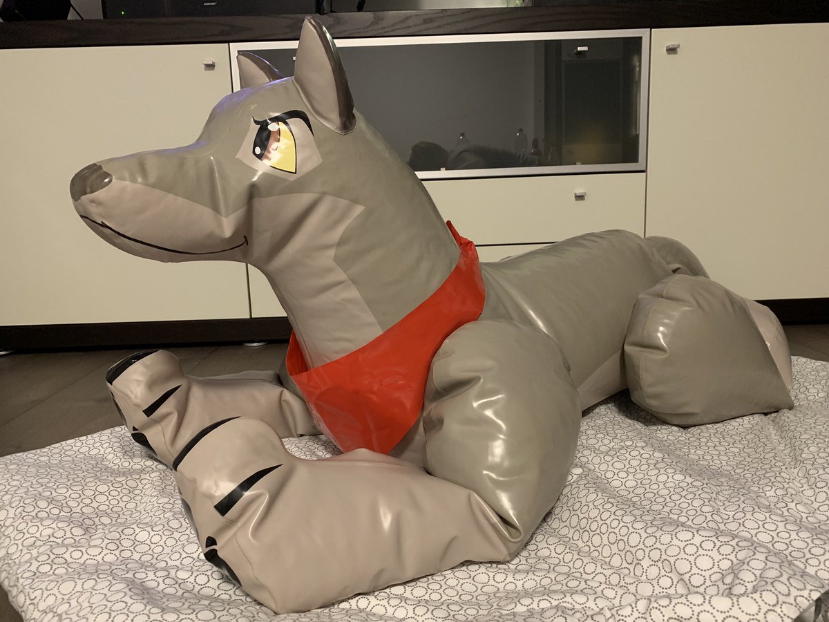 Squeaky_Gray's tweet photo. Love this little cutie so much :3 #inflatable #squaky #aufblasbar #pooltoy #wolfdog #balto #dog #customtoy https://t.co/kA6VkXS1PT