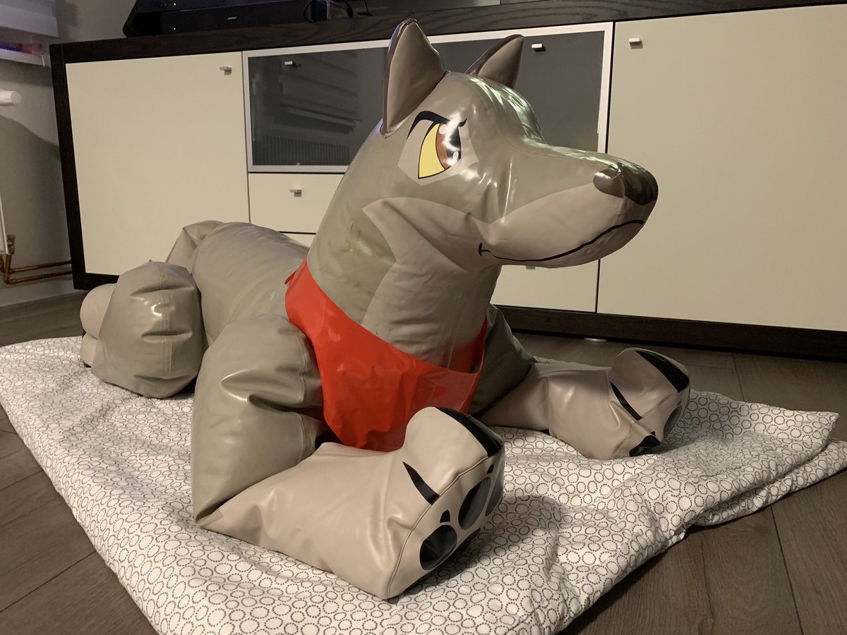 Squeaky_Gray's tweet photo. Love this little cutie so much :3 #inflatable #squaky #aufblasbar #pooltoy #wolfdog #balto #dog #customtoy https://t.co/kA6VkXS1PT